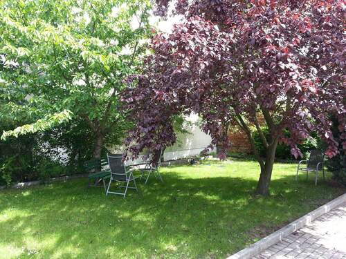 Gemeinschaftsgarten - Gewerbeobjekt (Büro, Produktion, Verkauf) zum Kaufen in Cottbus