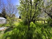 Gartenbereich - 