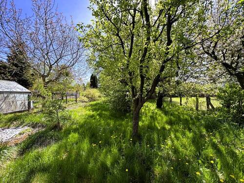 Gartenbereich - 