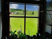 Blich aus dem Fenster - 