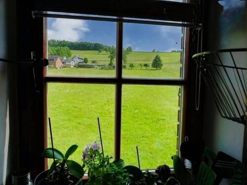Blich aus dem Fenster - 
