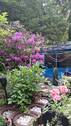 angelegter schöner Garten - 