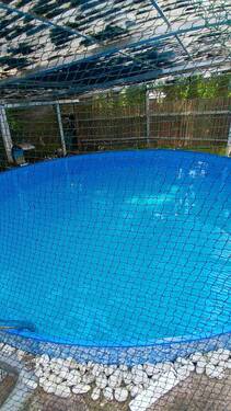 Großer Gartenpool - 