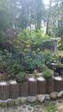 Stellplatz - 