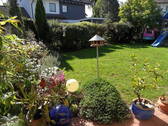 der Garten für Blumen & Kinder - 