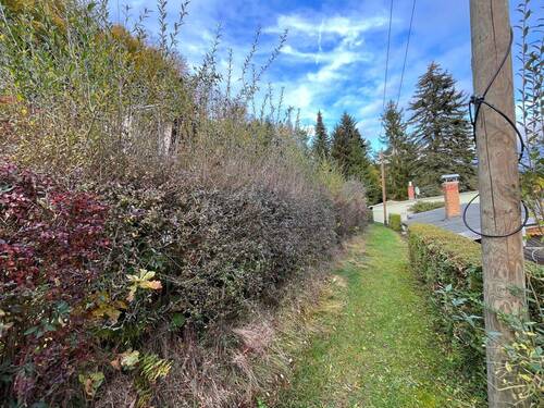 Weg zum Grundstück - 