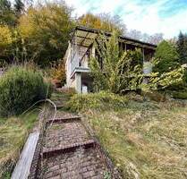 Ihr Rückzugsort im Grünen: Kleingarten mit Eigentumsgrundstück - Lippersdorf-Erdmannsdorf