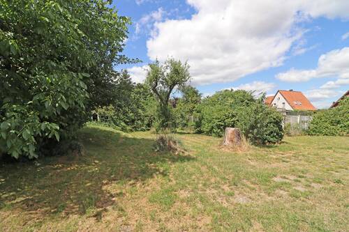 Garten - 