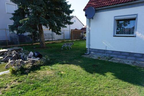 Grünfläche vor dem Haus - 