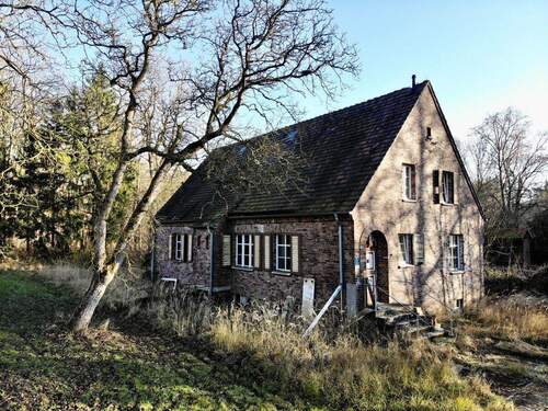 Haus 10 - 6 Zimmer Mehrfamilienhaus, Wohnhaus in Gültz / Seltz