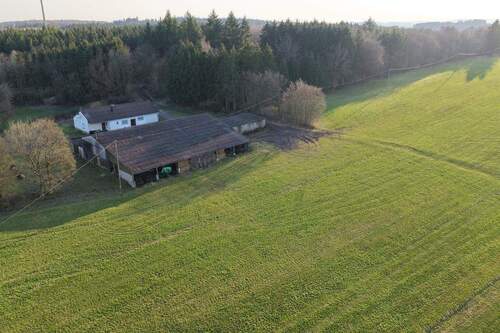 thumbnail (41).jpg - 