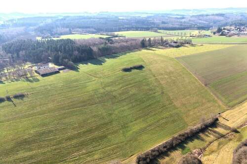 Berghof-Udler-mit-Grundstücken.jpg - 1 Zimmer Bauernhaus, Landhaus in Udler