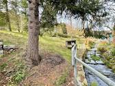 Bach_ - 