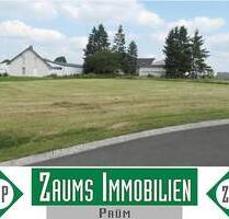 Grundstück in Auw bei Prüm - 39.130,00&nbsp;EUR Kaufpreis, ca.&nbsp; 0,00&nbsp;m&sup2; in Auw bei Prüm (PLZ: 54597) Schlausenbach