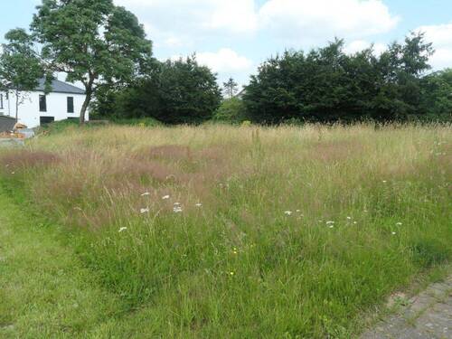 Frontfoto - Grundstück in Auw bei Prüm