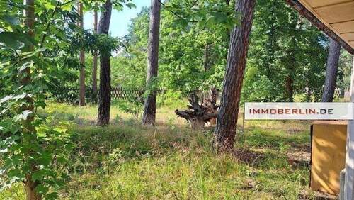 image3.jpg - Grundstück zum Kaufen in Am Mellensee