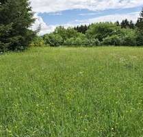 Baugrundstück, ruhig gelegen, Fernsicht, so weit das Auge reicht - Prüm - Weinsfeld Niederprüm