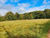 Bild 4 - Grundstück in Herforst zum Kaufen