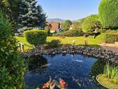 Teich - 