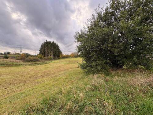 Bild 4 - Grundstück in Beuren zum Kaufen