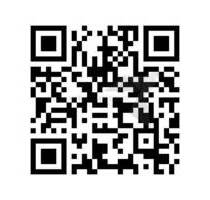 Gemütliche 2-Raum-Wohnung mit großer Wohnküche in der Bahnhofsvorstadt - Zwickau