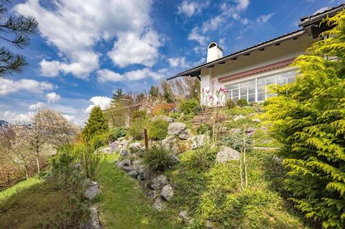Blühender Alpengarten - 