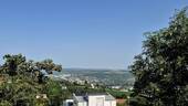 Ausblick vom Garten - Einfamilienhaus mit 191,00 m² in Höchberg zum Kaufen