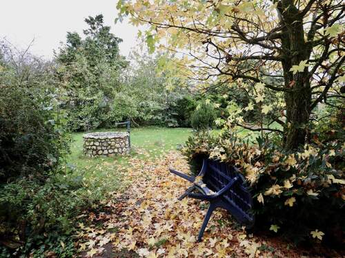 Garten - 4 Zimmer Einfamilienhaus in Dohr