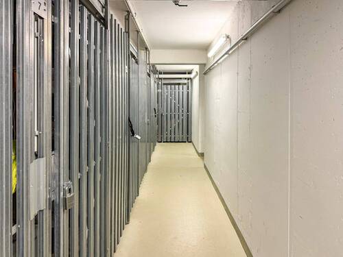 Gepflegter Keller - 