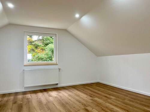 Studio (DG) - 