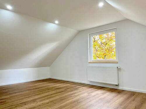 Studio (DG) - 