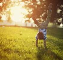 ***Exklusives Grundstück im Herzen von Kumpfmühl*** - Regensburg Kumpfmühl-Ziegetsdorf-Neuprüll