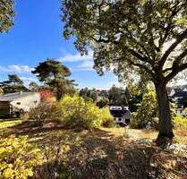 Majestätischer Ausblick! Baugrundstücke für Ein-Zweifamilienhäuser - Hamburg Eißendorf