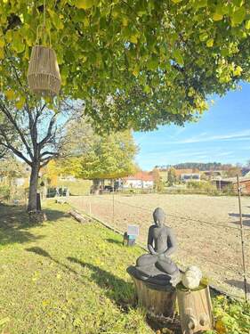 Schlatter Immobilien Villingen-Schwenningen Reitpl - 9 Zimmer Mehrfamilienhaus, Wohnhaus in Leibertingen