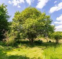 Immobilien Salzwedel Wohnen In Salzwedel Haus Kaufen Salzwedel Haus In Salzwedel Kaufen Grundstück