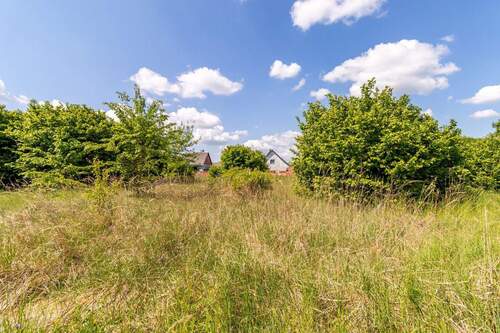 Grundstück - Grundstück in Salzwedel zum Kaufen