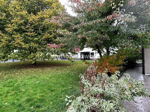 Außenansicht - Einfamilienhaus mit 273,40 m² in Scheden / Meensen zum Kaufen