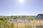 Panorama-Blick Schwarzwald - 
