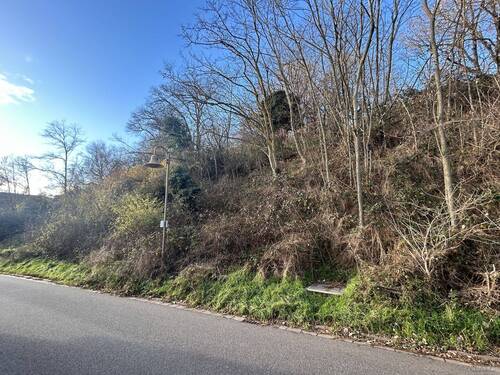 Baugrundstück - Grundstück zum Kaufen in Eisenberg (Pfalz) / Stauf