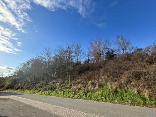 Baugrundstück - Grundstück in Eisenberg (Pfalz) / Stauf zum Kaufen