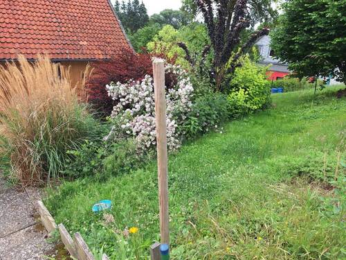 Garten - 