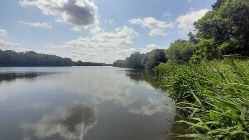 20250611_121911.jpg - 