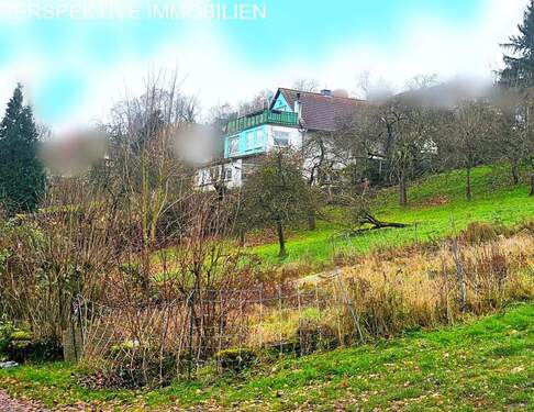 Fernsicht - 6 Zimmer Einfamilienhaus zum Kaufen in Erbach