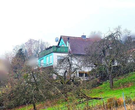 Gartenseitig - 6 Zimmer Einfamilienhaus in Erbach