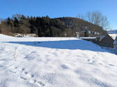 Gartenansicht - Mehrfamilienhaus, Wohnhaus mit 130,00 m² in Diemelsee zum Kaufen
