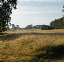 Schöne Grundstücke zwischen Ostsee und Bodden - Kolczewo