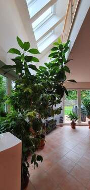 Deckenausschnitt Wohnzimmer - 