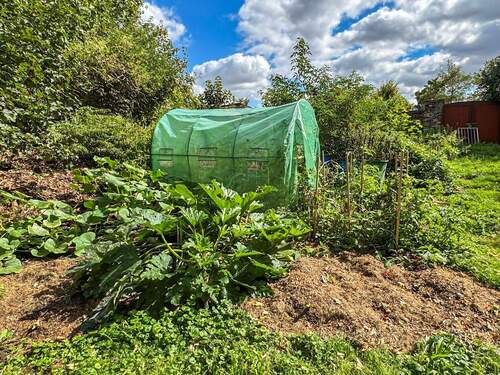Fläche zur Selbstversorgung - 