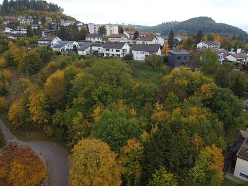 Ansicht 2 - Grundstück zum Kaufen in Albstadt