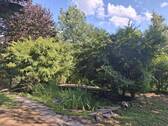 Gartenteich - 